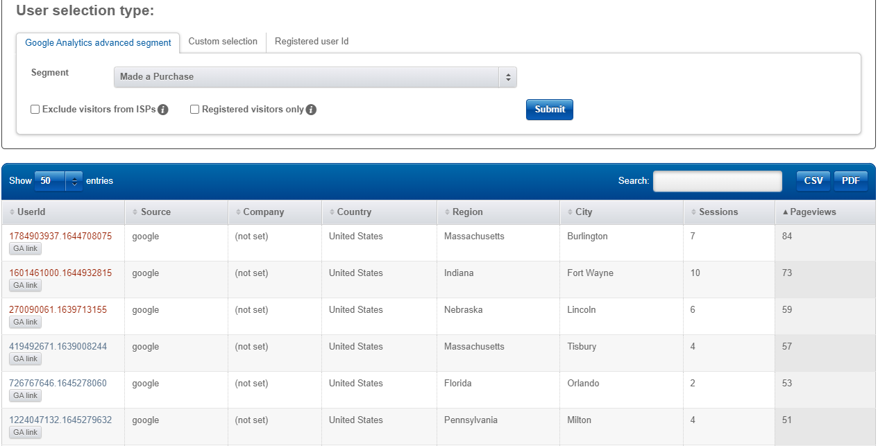 segment visitors with purchase