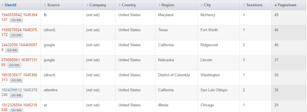 segment visitors with purchase